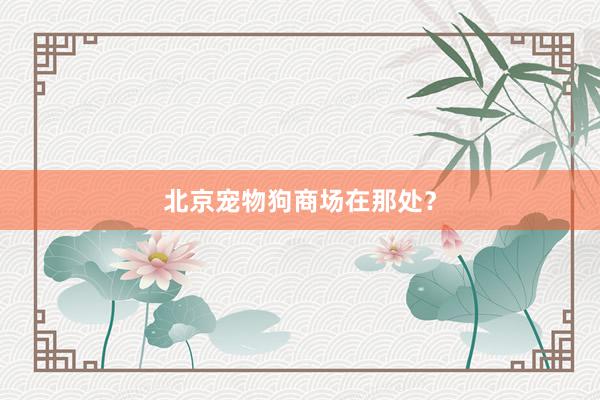北京宠物狗商场在那处？