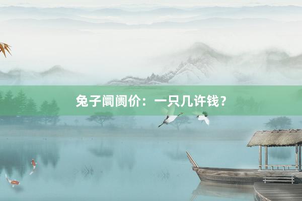 兔子阛阓价：一只几许钱？