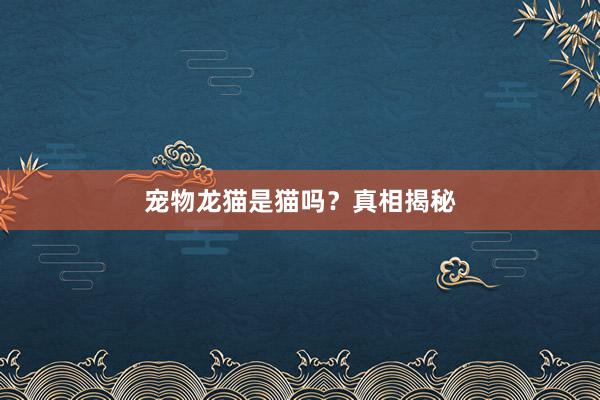 宠物龙猫是猫吗？真相揭秘